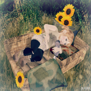 p.o.s.e. sunflower basket 1